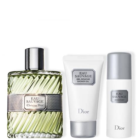 incenza dior|DIOR .